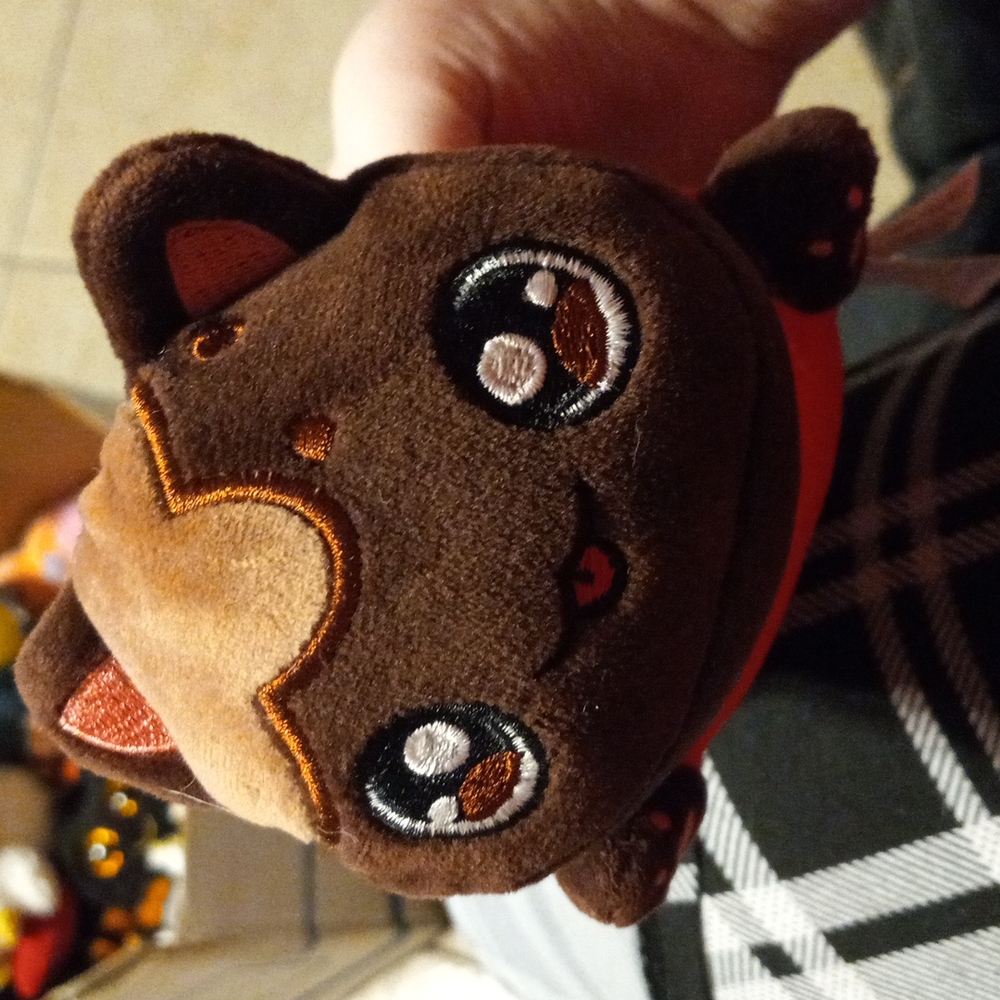 Aphmau cat from mystery box